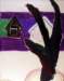 houseacrossthestreet_small.jpg